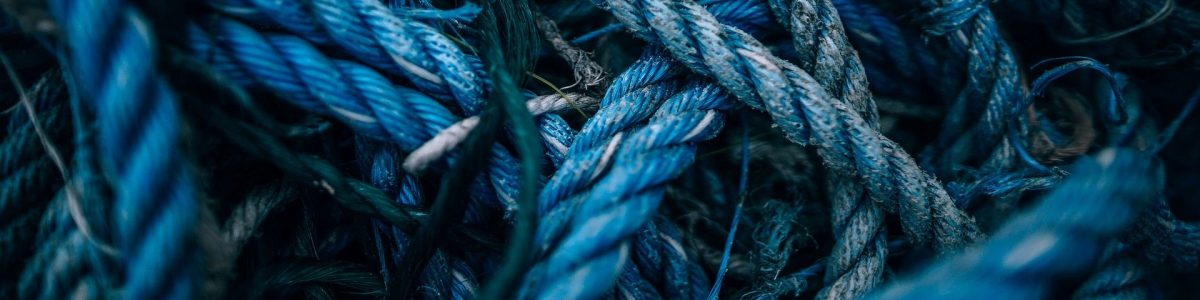 background-3628553_1920